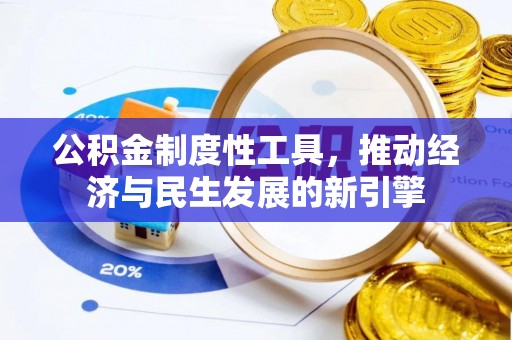 西盟公积金制度性工具，推动经济与民生发展的新引擎