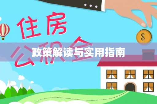 西盟政策解读与实用指南