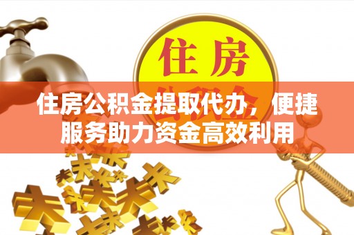 西盟住房公积金提取代办，便捷服务助力资金高效利用